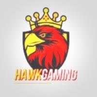 HawkGaming