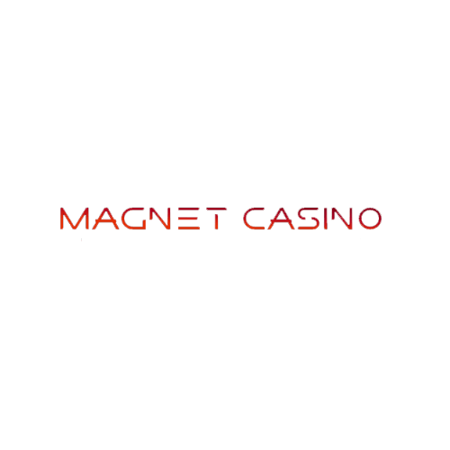Magnet